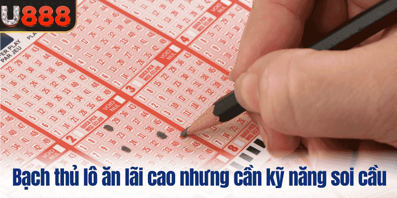 Bạch thủ lô là gì? ăn lãi cao nhưng cần kỹ năng soi cầu 